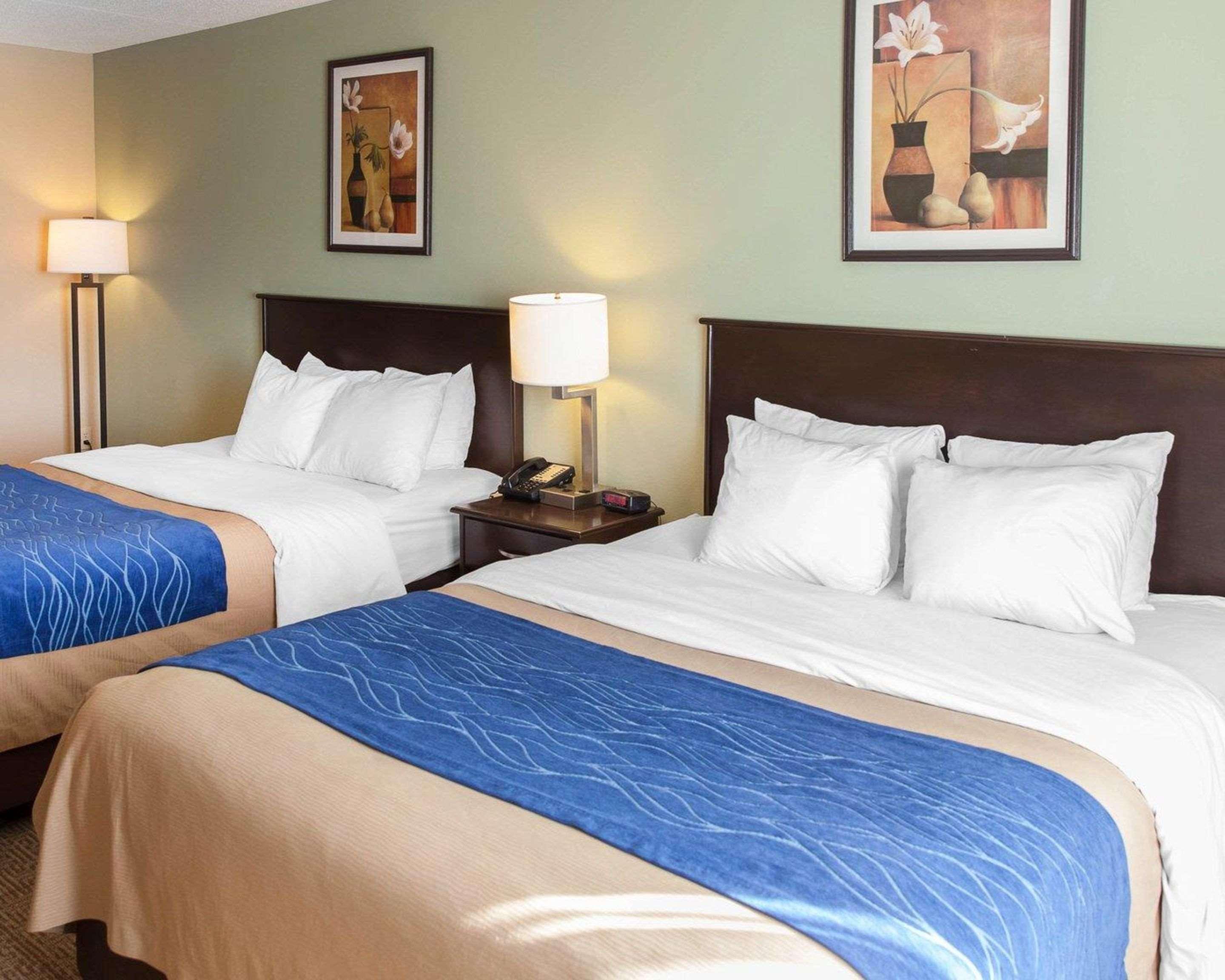 Comfort Inn Near Quantico Main Gate North Dumfries Bagian luar foto