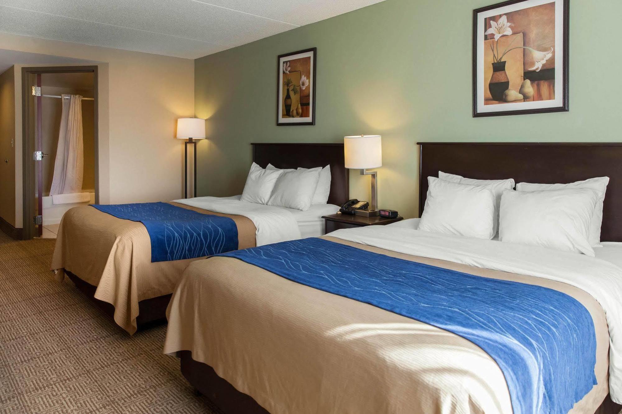 Comfort Inn Near Quantico Main Gate North Dumfries Bagian luar foto